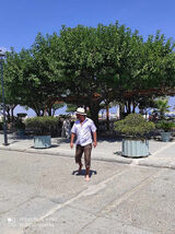 Zdjęcie użytkownika kinkyjokey