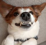 Foto pengguna Sebastian44s