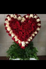 Benutzerfoto hakeemmajjid88