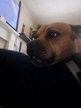 Foto pengguna Tomaszek0987