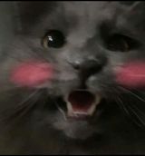 Benutzerfoto emipyszorska