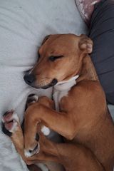 Foto pengguna kokomatiwa