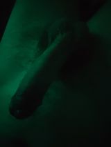 Foto pengguna patm42867