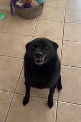 Foto pengguna xbojerro2