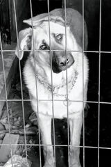 Фотография пользователя Granatt