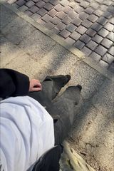 Benutzerfoto JasiuW11