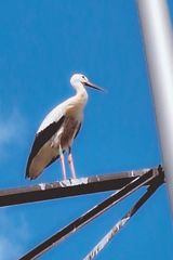 Benutzerfoto Piotr8200000