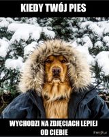 Foto pengguna qaz7373