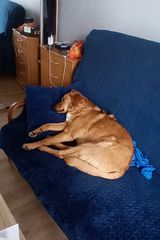 Benutzerfoto AnetkaBi