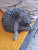 Foto pengguna dominikswiercz520