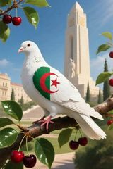 Benutzerfoto Massimassi