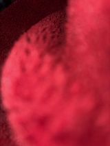 Foto pengguna Arek312