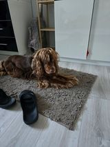 Benutzerfoto Rafcio34525