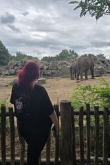 Foto pengguna zonaidealna0