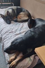 Benutzerfoto HefnerD