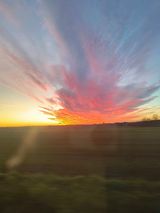 Benutzerfoto myszam1992