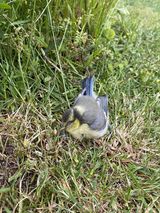 Benutzerfoto Ivan177