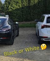 Benutzerfoto hedonista699