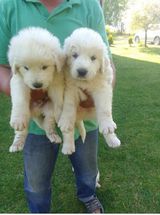 Benutzerfoto Jack8282