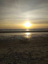 Benutzerfoto Damar1414