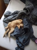 Benutzerfoto hrabiamagdalena9