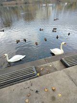 Benutzerfoto MarcelMarcel86