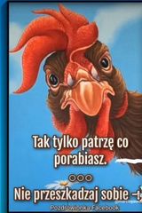 Benutzerfoto grzegorzwppl1954