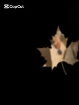 BenutzerfotoMateorci