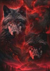 Benutzerfoto MalaMi7890