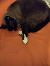 Benutzerfoto u5977241529