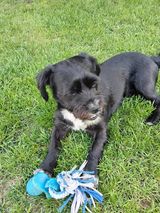 Фото користувача marcinyy4yy