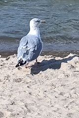 Benutzerfoto u3359520715