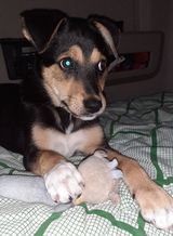 Zdjęcie użytkownika fabrykakakao