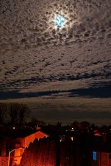 Benutzerfoto gawikov