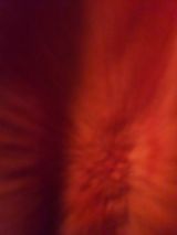 Фото користувача p727