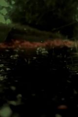 Zdjęcie użytkownika grzegorzstrak8231