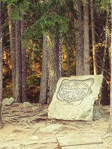 Фотография пользователя IrenaCholuj