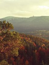 Benutzerfoto IrenaCholuj