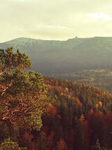 Фотография пользователя IrenaCholuj