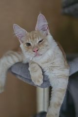 Benutzerfoto marczakmarta3