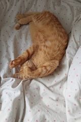 Benutzerfoto MagdalenaHr