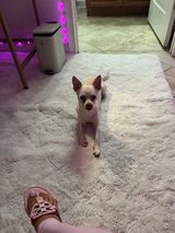 Фото користувача sharonketi06