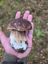 Zdjęcie użytkownika tomaszchada72