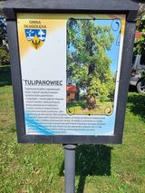 Фото користувача sebik178