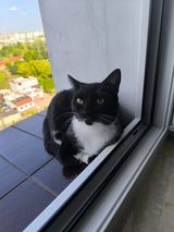 Фото користувача Pablo722