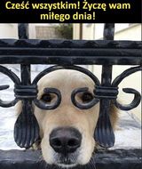 Фото користувача qaz7373