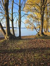 Benutzerfoto adamwojtkow8