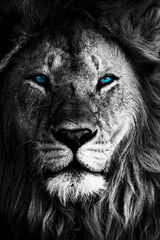 Benutzerfoto Roberti3