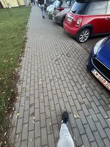 Benutzerfoto seba23602