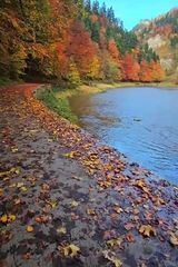 Фотография пользователя rafal781005